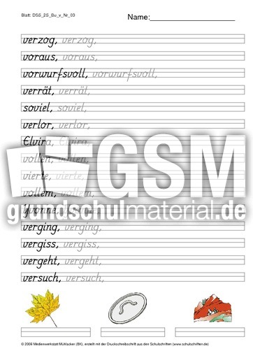 DSS_2S_Bu_v_Nr_03.pdf